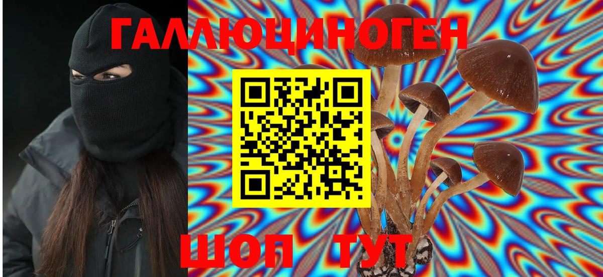 Галлюциногенные грибы ЛСД  Псилоцибиновые грибы Psilocybe  Чапаевск  Вход с VPN 